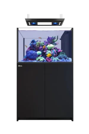 Fabrieksprijs Red Sea REEFER MAX Peninsula 350 G3 - Zwart