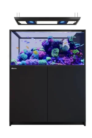 Red Sea REEFER MAX Peninsula 500 G3 - Zwart Finale Uitverkoop