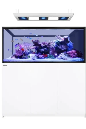 Red Sea REEFER MAX Peninsula S-700 G3 - Wit Seizoensaanbieding