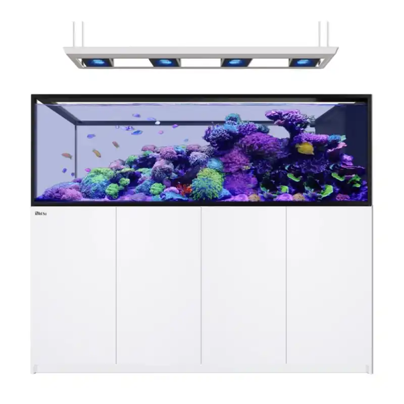 Red Sea REEFER MAX Peninsula S-950 G3 - Wit Tijdelijk Beschikbaar