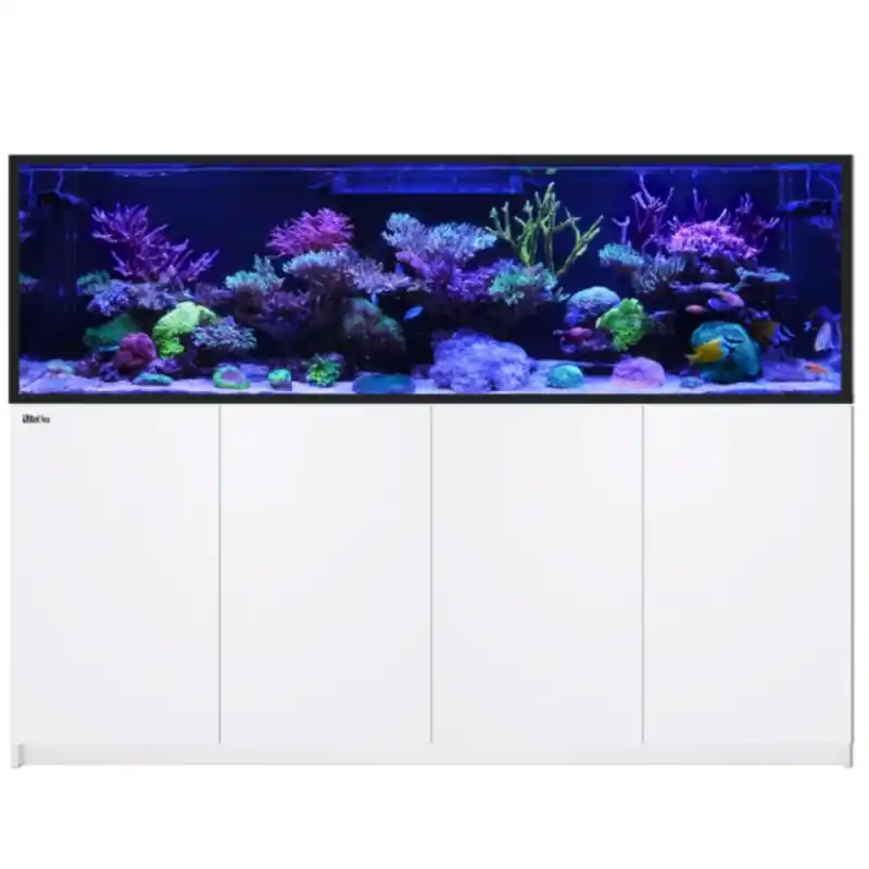 Lage Kosten Red Sea REEFER™- G3 S 1000 Complete System - Wit