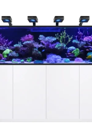 Red Sea REEFER S-1000 G3 Deluxe - Wit (incl. 3 X RL170 & arms) Rechtstreeks Van De Fabrikant
