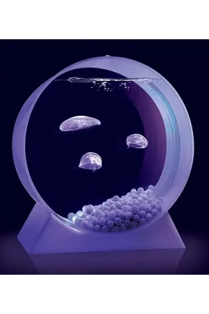 Desktop Jellyfish Tank - kwallen Aquarium Beperkte Voorraad