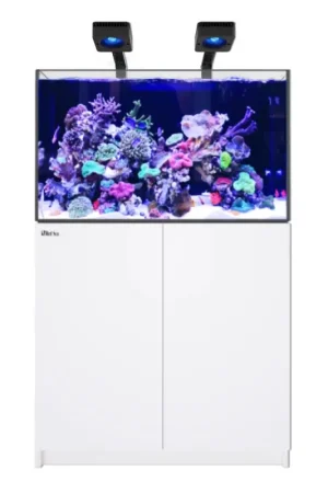 Koop Vandaag Red Sea REEFER MAX 300 G3 - Wit