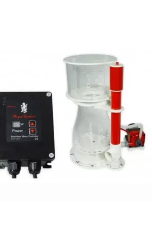 Royal Exclusiv BK Double Cone 180 internal RD3 50W Gecertificeerd