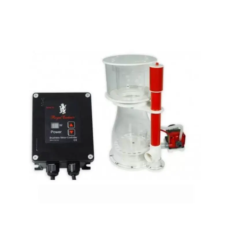 Royal Exclusiv BK Double Cone 180 internal RD3 50W Gecertificeerd