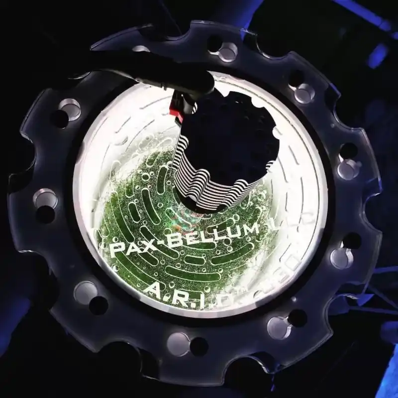 Pax Bellum ARID N24 Acrylic Chamber Korting