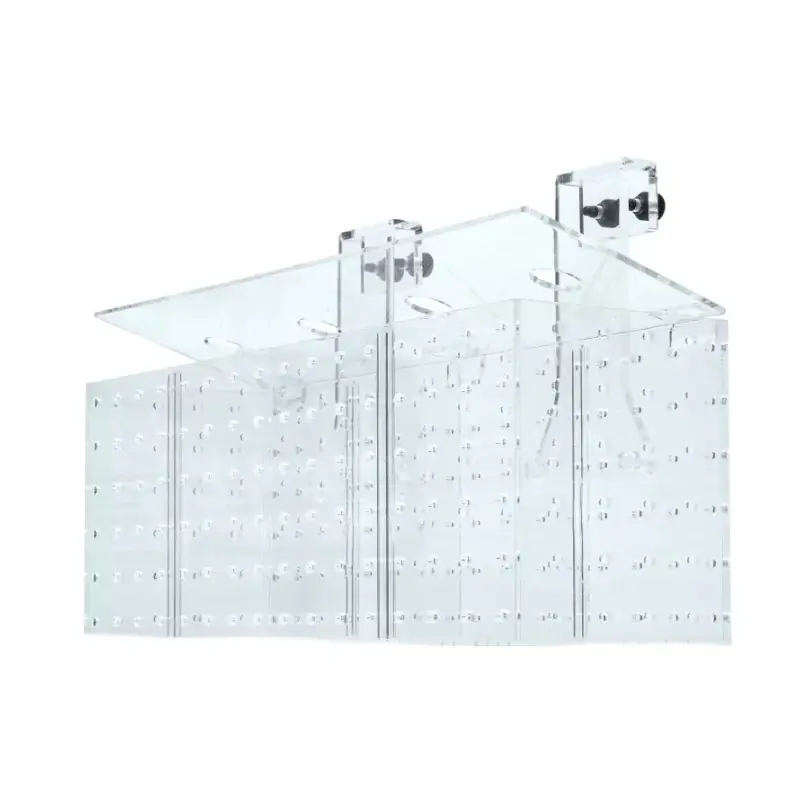 Grotech Acclimation Box - 5 Chambers Gecertificeerd