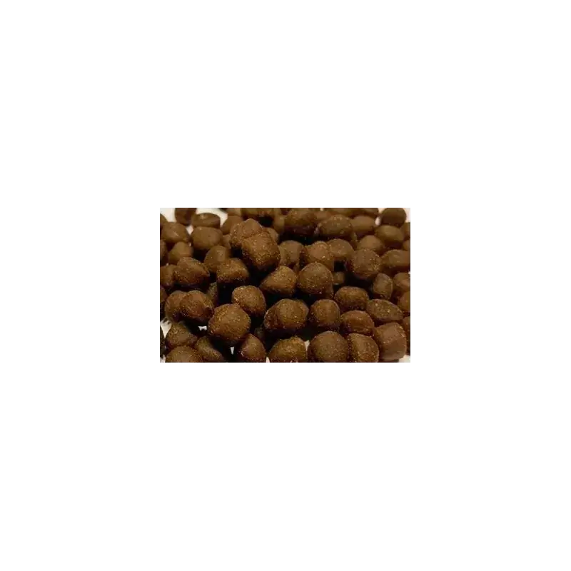 Seizoensaanbieding Ocean Nutrition Coral Pellets Large 100g