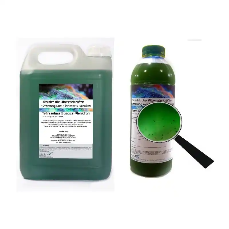 Gereduceerde Prijs Plankton24 Tetraselmis Suecica met zooplankton 1000ml