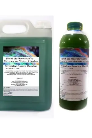 Korting Plankton24 Tetraselmis Suecica plankton 1000ml