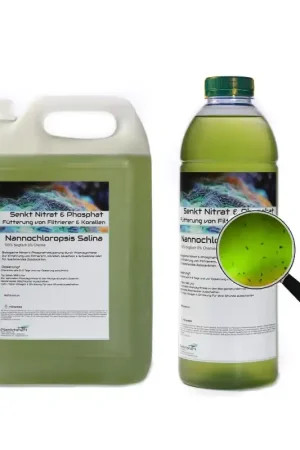 Direct Verzonden Plankton24 Nannochloropsis Salina met zooplankton 1000ml