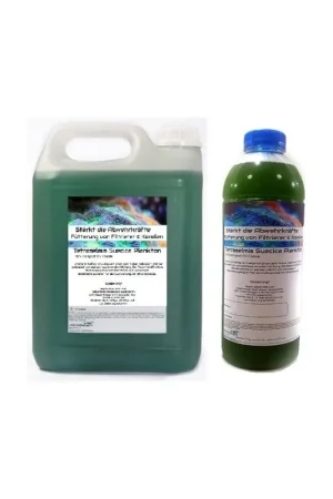 Plankton24 suecica Plankton zuchtansatz 1000ml Gecertificeerd