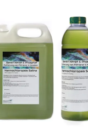 Plankton24 Nannochloropsis Salina 1000ml Laatste Kans