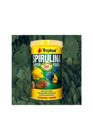 Dagaanbieding Tropical Spirulina Super Forte 250ml