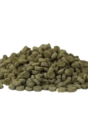 Hikari Marine Seaweed Small Pellet 100 gr Laatste Kans