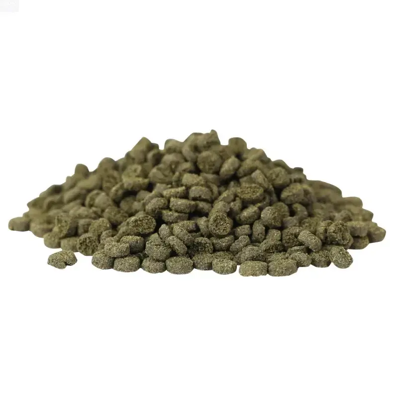 Hikari Marine Seaweed Small Pellet 100 gr Laatste Kans