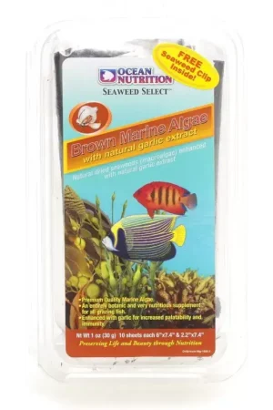 Ocean Nutrition Brown Seaweed 12g Koop Vandaag