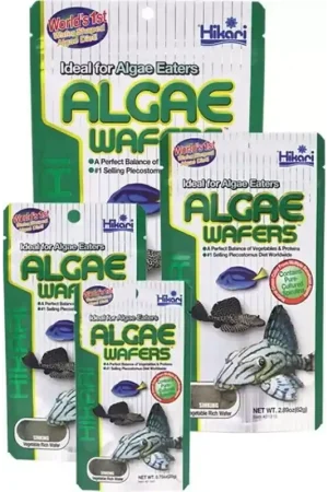Hikari Algae Wafers 40 gram Direct Beschikbaar