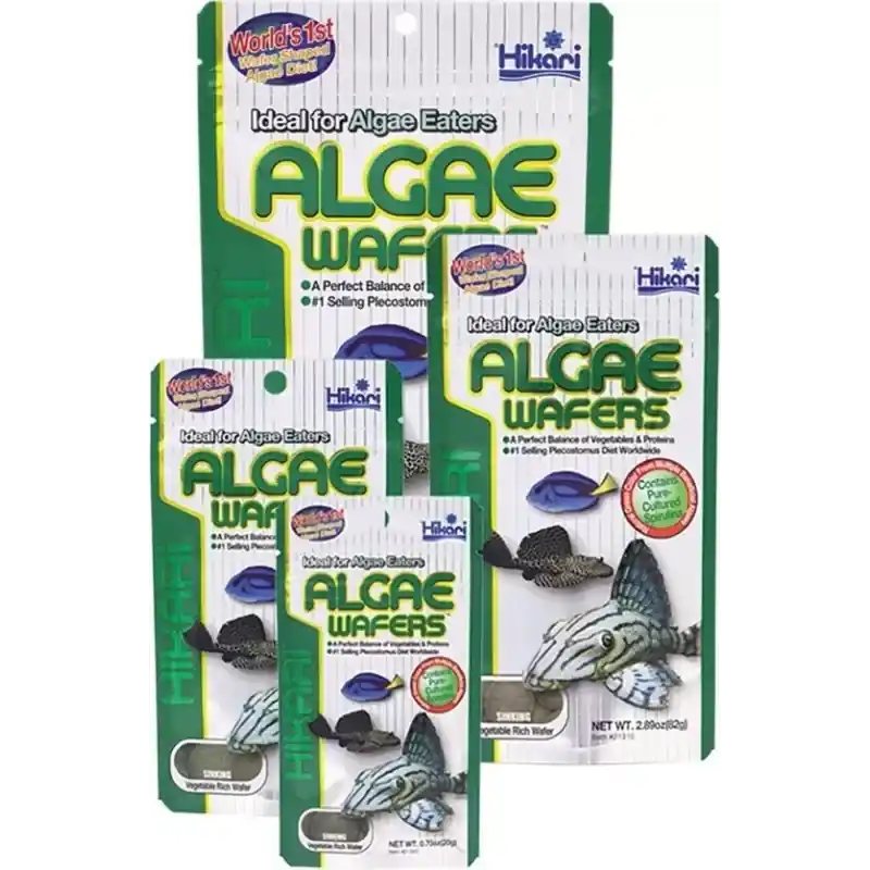 Hikari Algae Wafers 40 gram Direct Beschikbaar