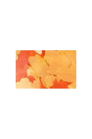 Goedkoop Ocean nutrition goldfish flake 34g