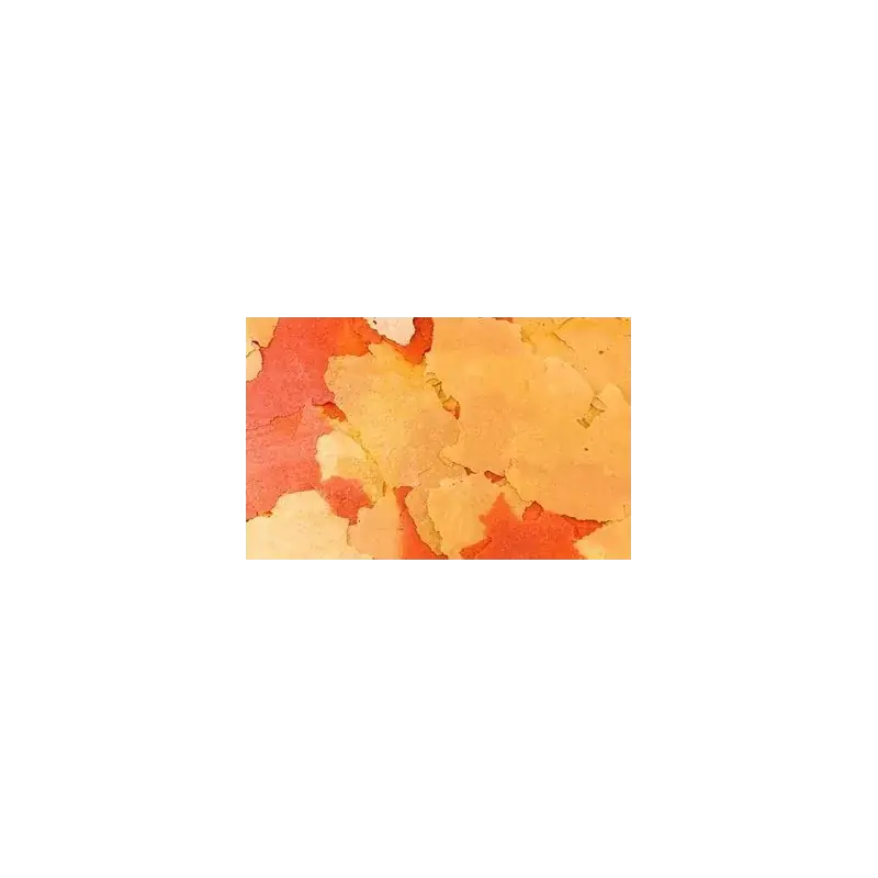 Goedkoop Ocean nutrition goldfish flake 34g