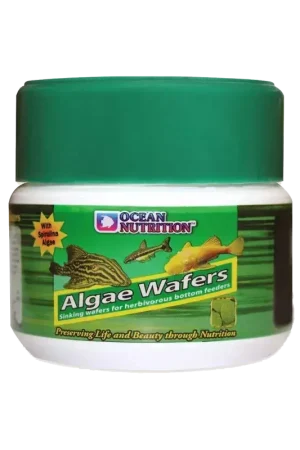 Gereduceerde Prijs Ocean nutrition algae wafers 150g