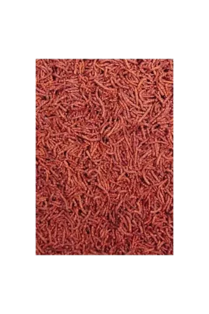 Meest Verkocht Ocean nutrition discus pellet 125g