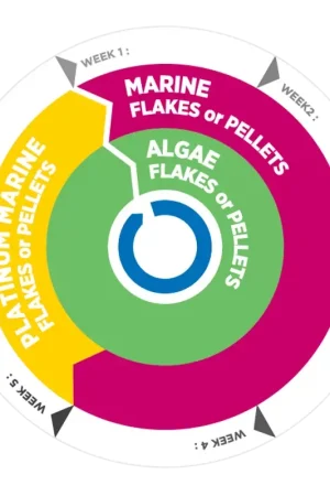 Must-Have Vitalis Platinum Marine Flakes 40g