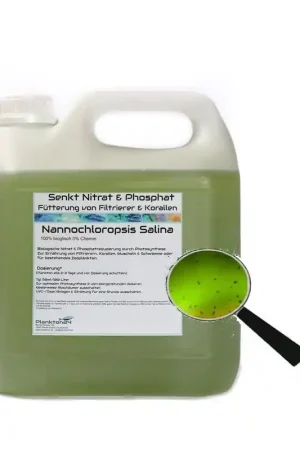 Koop Online Plankton24 Nannochloropsis salina met bemesting