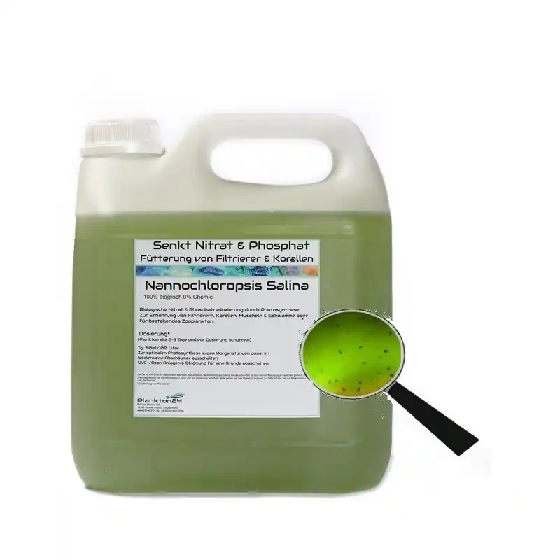 Koop Online Plankton24 Nannochloropsis salina met bemesting