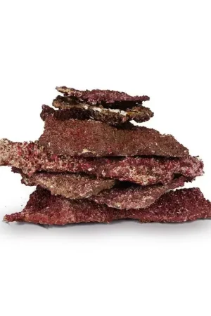 Real Reef Rock - Shelf Rock - prijs per kilo Bestseller