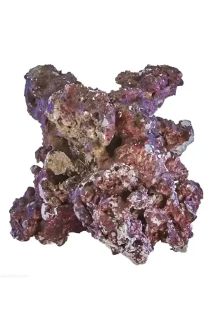 Real Reef Rock small/med per kilo Laatste Kans