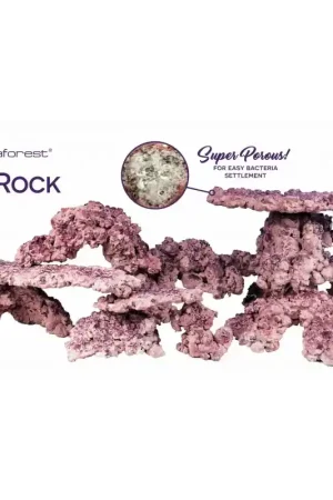 Aquaforest Rock Arch - 18 kg Koopje