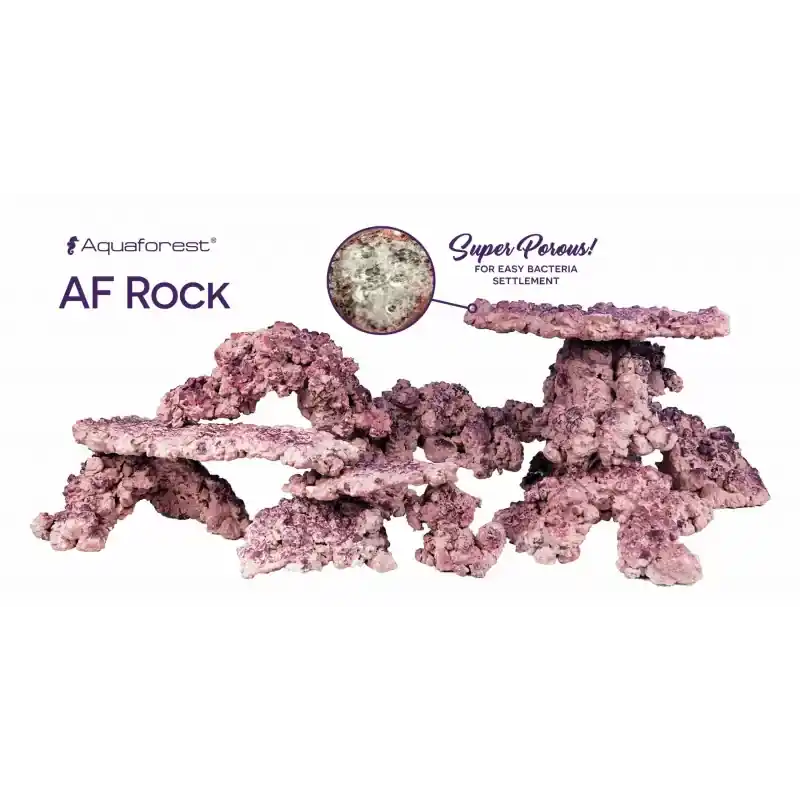 Aquaforest Rock Arch - 18 kg Koopje