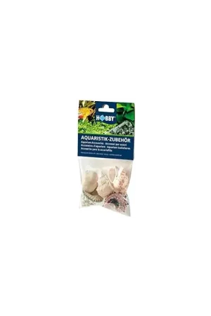 Laatste Kans Hobby Decoratie Sea Shells Set 5 stuks