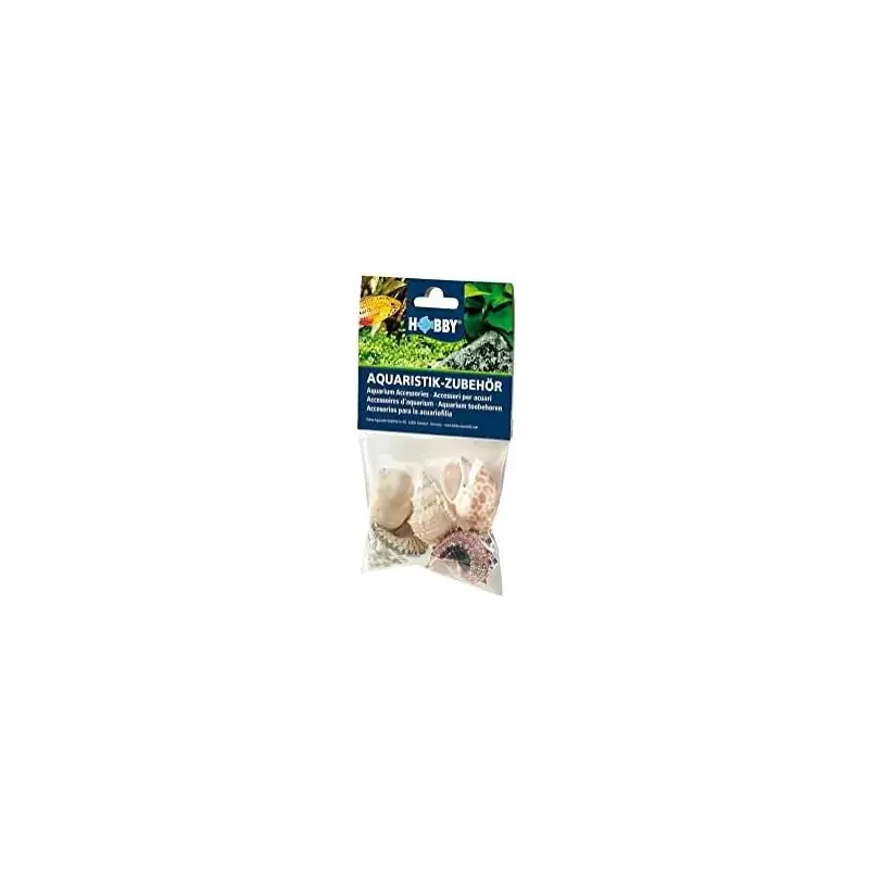 Laatste Kans Hobby Decoratie Sea Shells Set 5 stuks