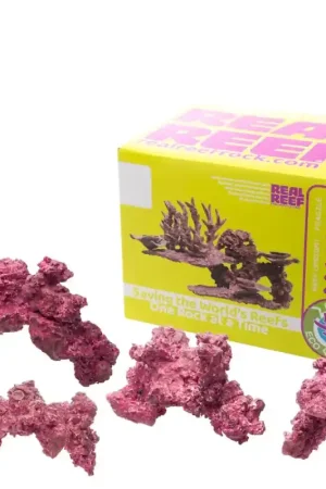 Real Reef Arches - Medium 4pcs Betaalbaar