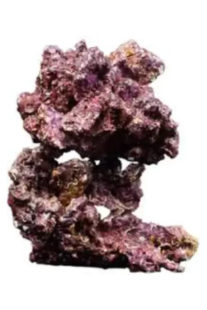 Bestel Nu Real Reef Rock Mix Box4th gen Xlarge Show Doos 25kg