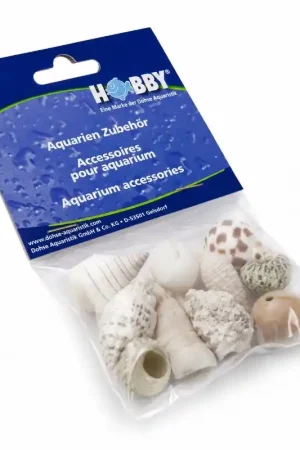 Beperkte Voorraad Hobby decoratie sea shells - set M - 10 st