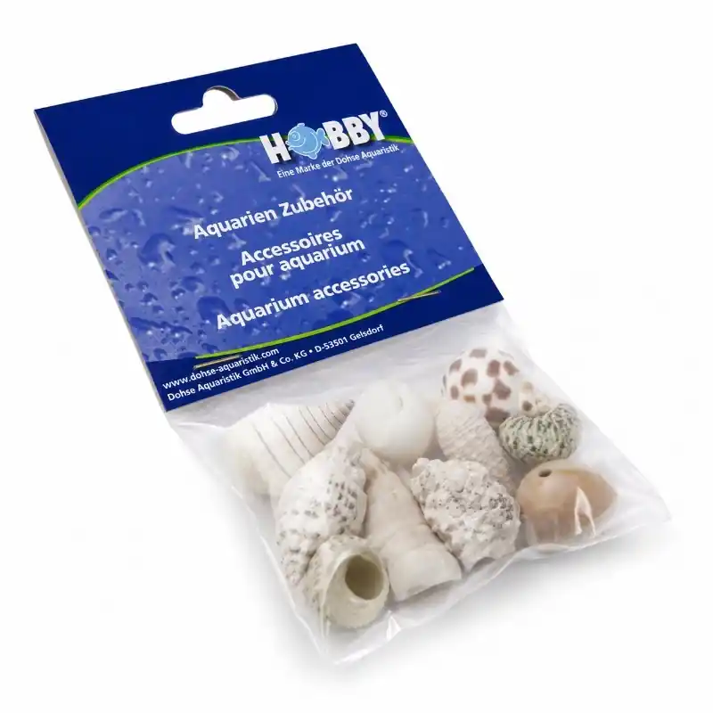 Beperkte Voorraad Hobby decoratie sea shells - set M - 10 st