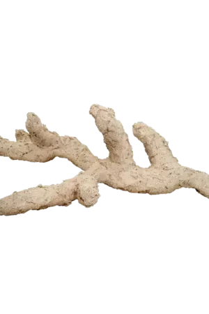 Bestseller Arka Branched Nature 30 cm