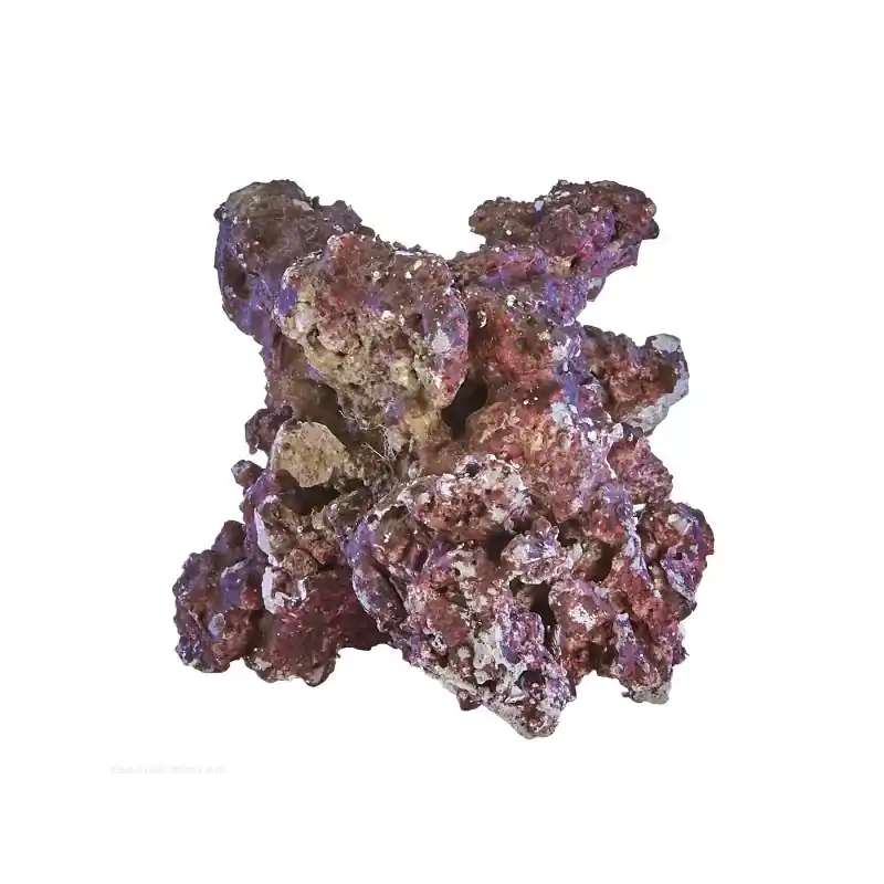 Laatste Versie Real Reef Rock Mix Box4th gen Med/Large Doos 25kg