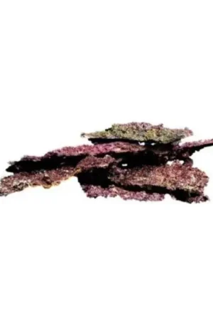 Direct Verzonden Real Reef Rock Mix Box4th gen Shelf Doos 25kg