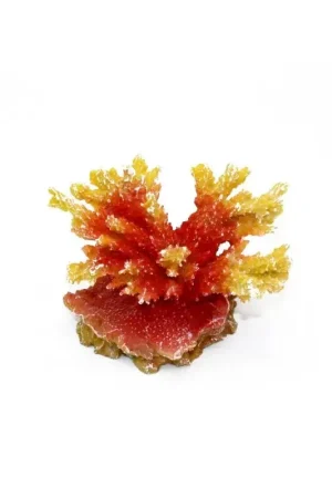 Alleen Vandaag Kunstkoraal Acropora Oranje