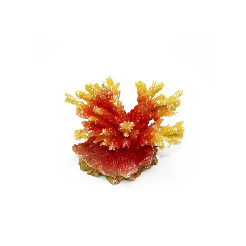 Alleen Vandaag Kunstkoraal Acropora Oranje
