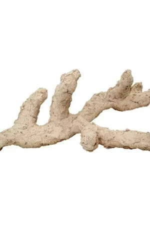Veilige Betaling Arka Branched 70cm