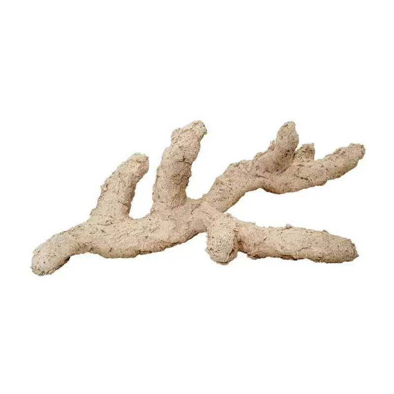 Veilige Betaling Arka Branched 70cm