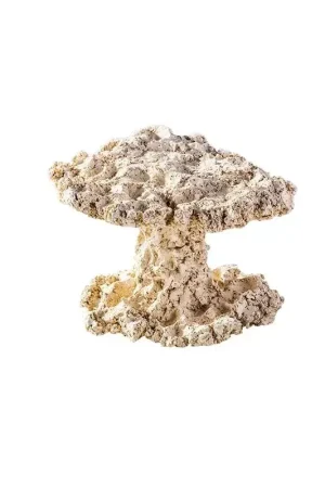Arka Mushroom 20cm Veilige Betaling