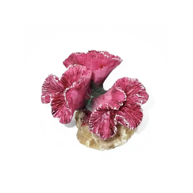 Koopje Kunstkoraal Symphylia Roze
